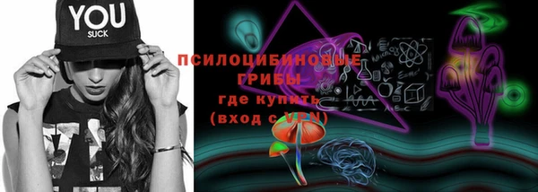 метадон Алексеевка