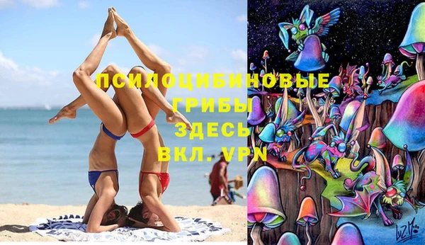 метадон Алексеевка