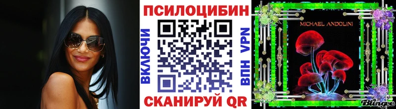 omg ССЫЛКА  Дудинка  darknet телеграм  купить наркоту  Псилоцибиновые грибы Magic Shrooms 